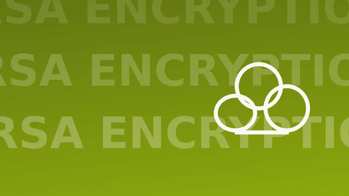 RSA Encryption: Why Your Security Architecture Depends on It